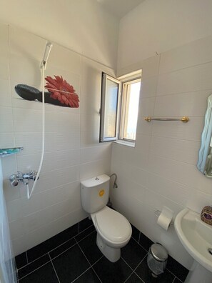 Hair dryer, towels, soap, toilet paper