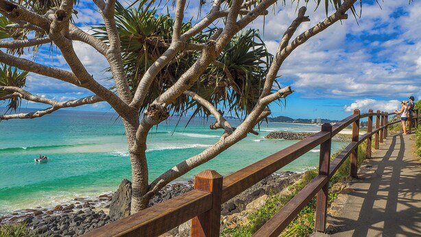 A wooden boardwalk along a beach with palm trees and ocean views. - Black Shack Burleigh (Burleigh Waters)