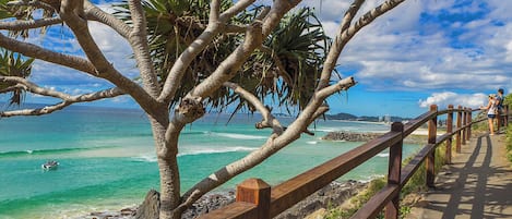 Black Shack Burleigh | Beach/ocean view