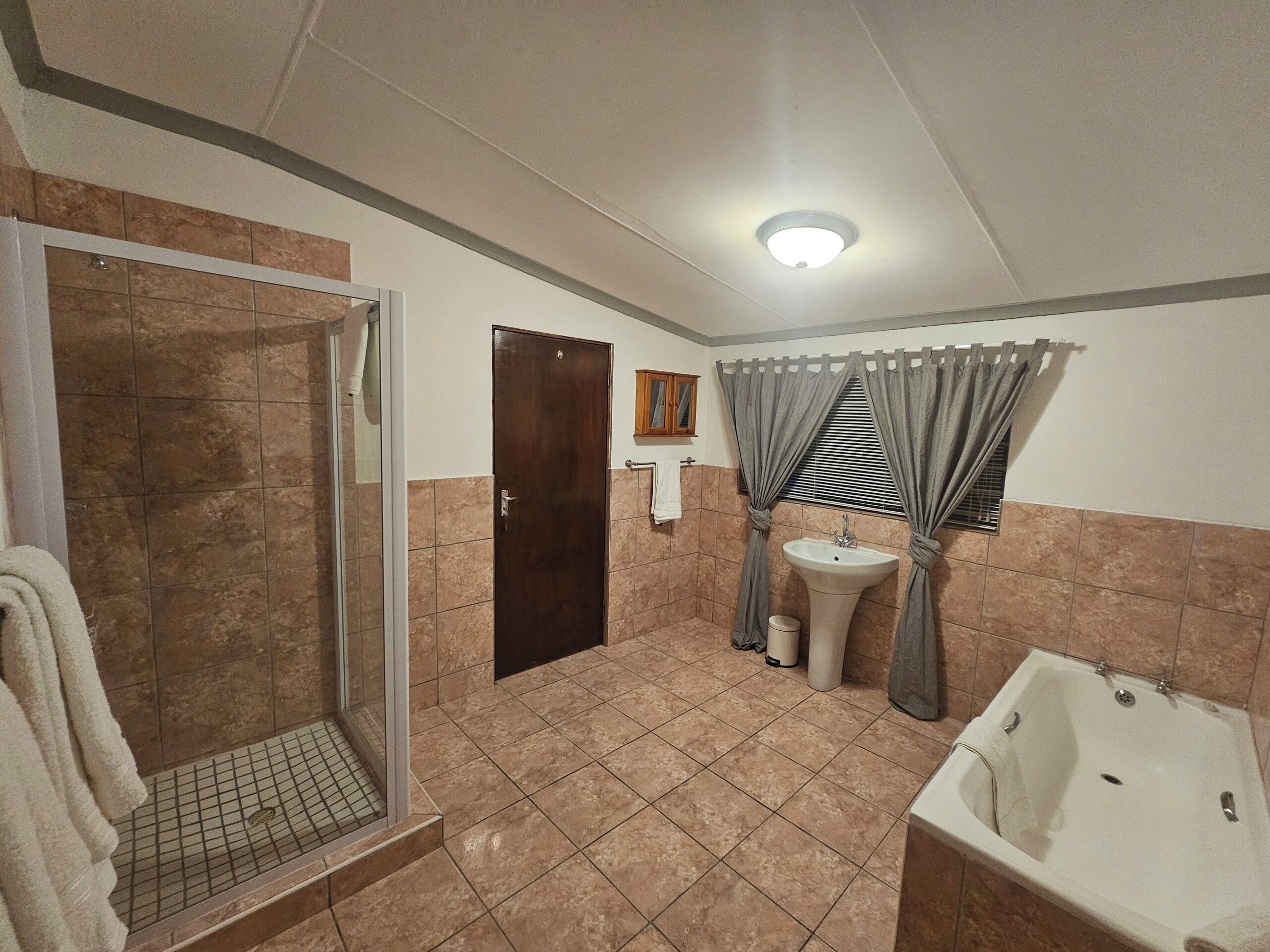 Hair dryer, bidet, towels, soap