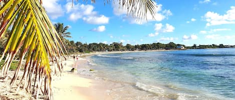 Playa en los alrededores
