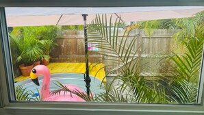 Vista dalla finestra su un giardino con piscina, un galleggiante a forma di fenicottero e diverse piante.