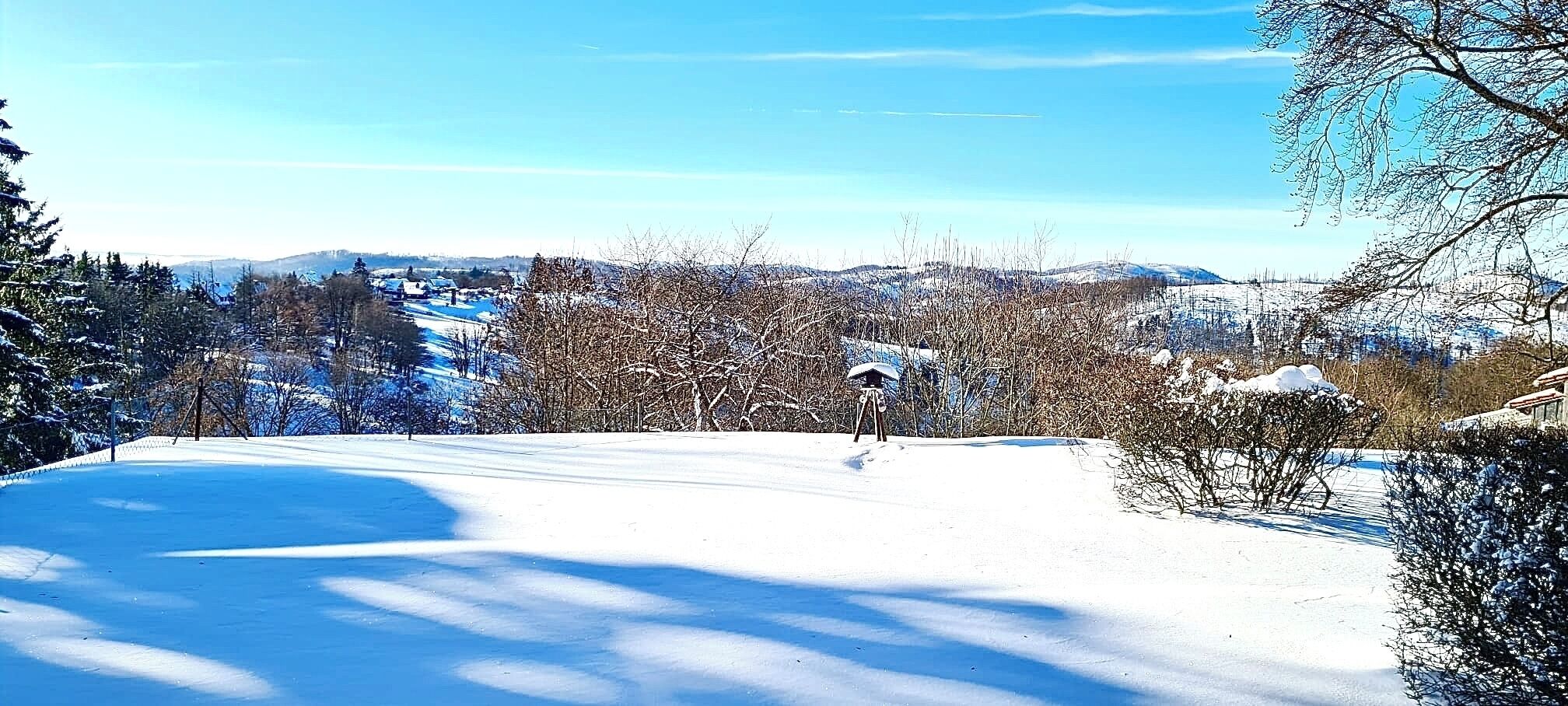 Un paysage enneigé, avec un ciel dégagé, une mangeoire à oiseaux et quelques arbres clairsemés.