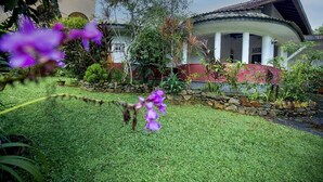 A house with a curved roof, a stone wall, and a garden with green grass and purple flowers. - Thuru Sewana Villa (Unawatuna)