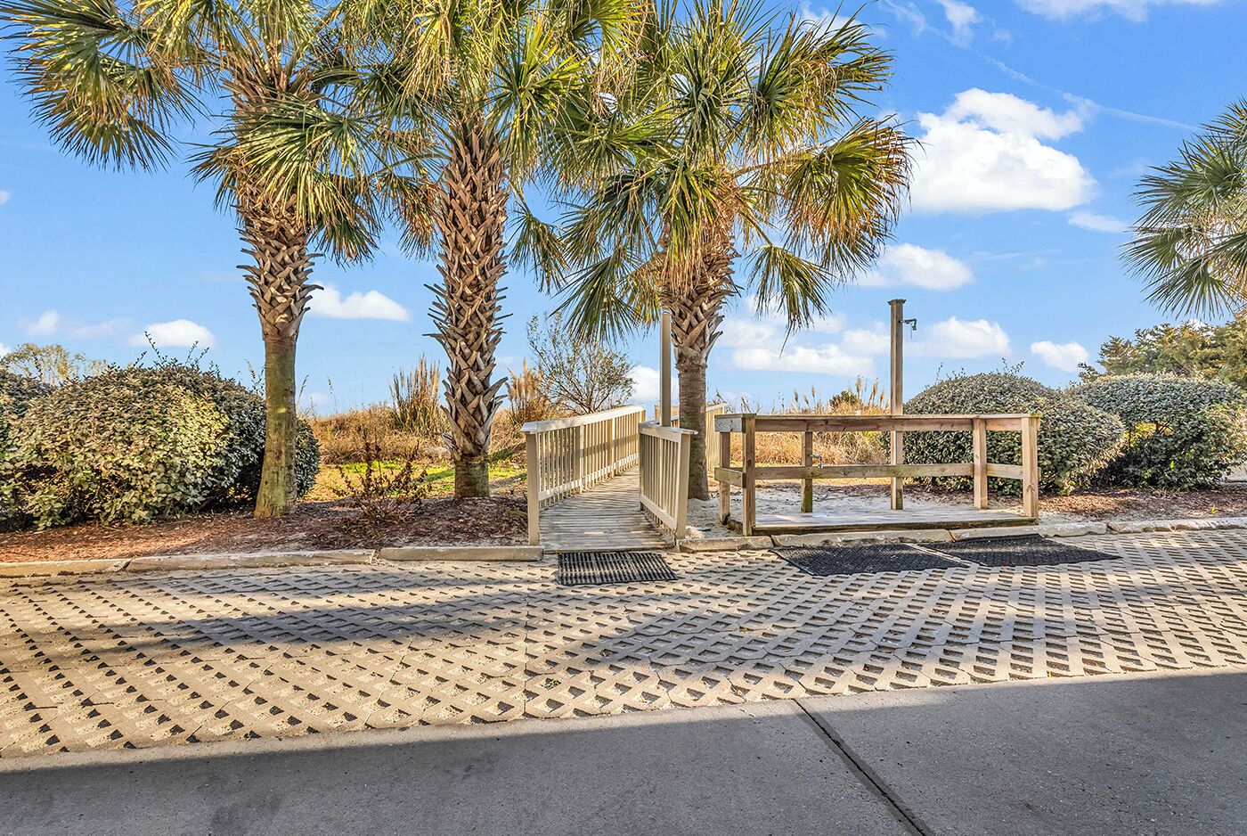 A paved walkway with a wooden bench and a metal grill, surrounded by palm trees and shrubs.