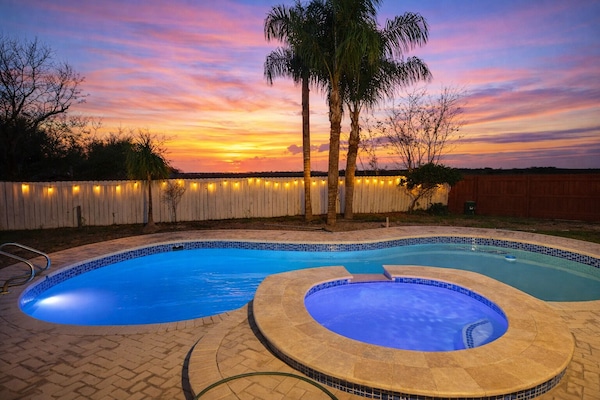Spacious Backyard with Beautiful Palm Trees