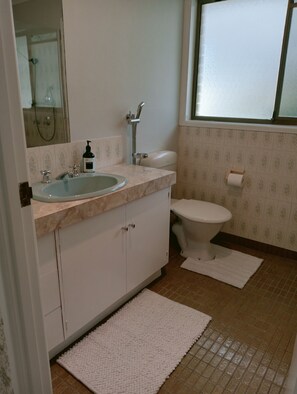 Shower, hair dryer, towels, soap