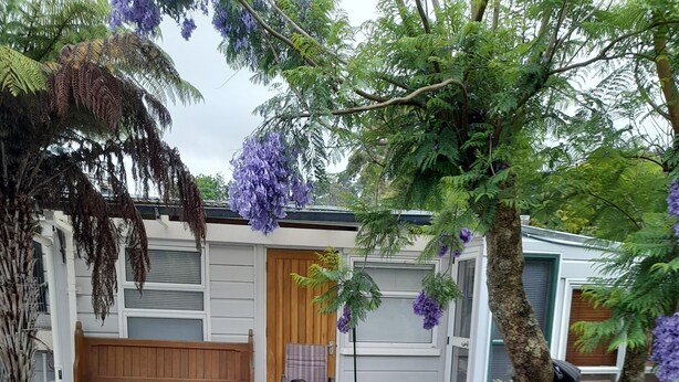 Ein Wohnhaus mit gepflasterter Terrasse, einer Holzbank, einem Stuhl und einem kleinen Baum mit violetten Blüten.