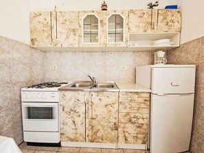 Fridge, microwave, oven, cookware/dishes/utensils