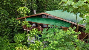 Ein Holzhaus mit grüner Dachbegrünung, umgeben von dichtem Grün.