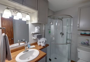 Shower, towels, soap, toilet paper