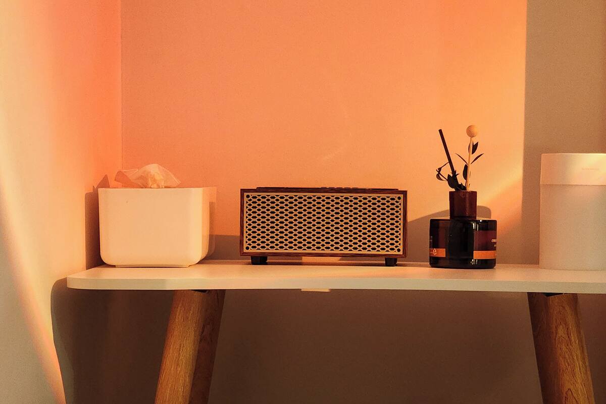A bedside table with a tissue box, a radio, and a vase with a plant.