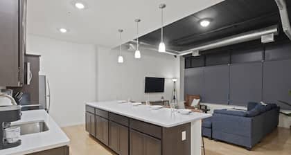 Spacious City Apartment - 1BR