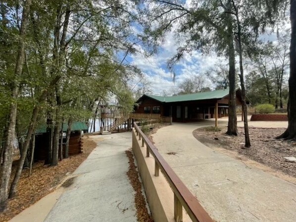 A pathway leading to a building with a green roof, surrounded by trees and a clear sky.