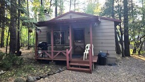 A small cabin with a porch, a grill, and a trash can. - Northwoods #1 Cabin in the Pines (Pinetop-Lakeside)