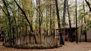 A rustic wooden fence with a sign that reads "OFFICE" in a forested area with trees and a building in the background. - Northwoods #1 Cabin in the Pines (Pinetop-Lakeside)