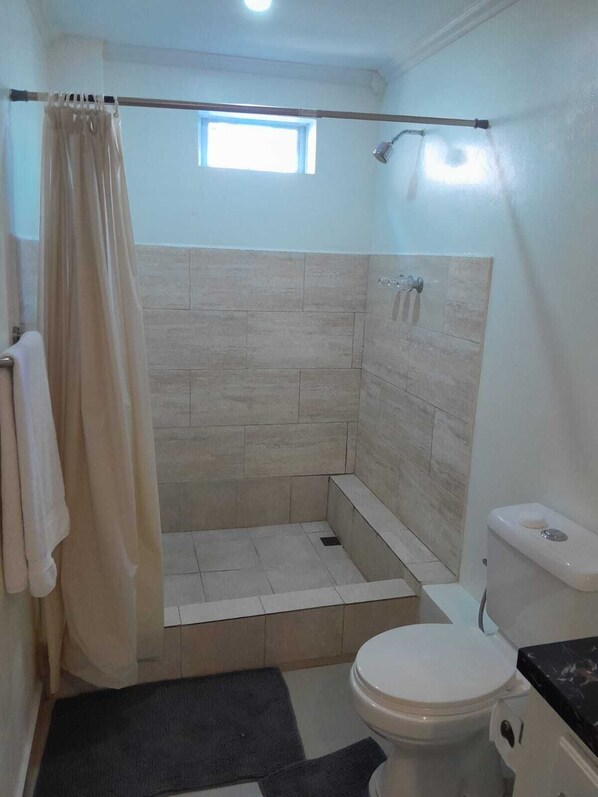 Shower, towels, soap, toilet paper