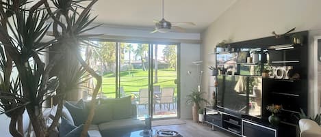 Smart TV, books, stereo