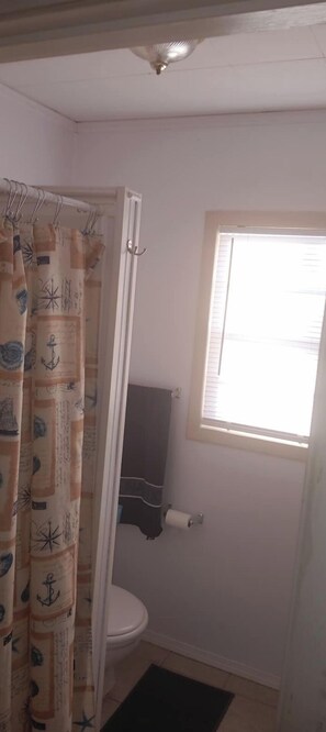 Shower, hair dryer, towels, toilet paper
