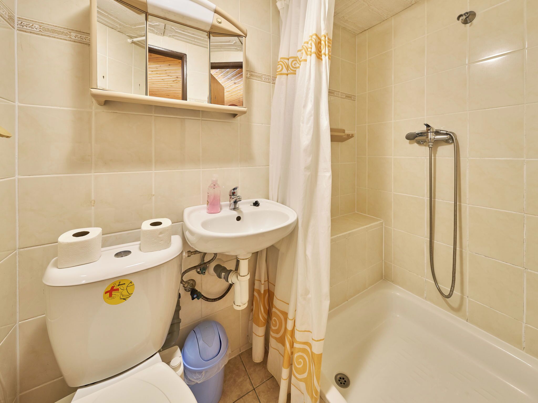 Un baño con inodoro, lavamanos, ducha y un espejo sobre el lavamanos.