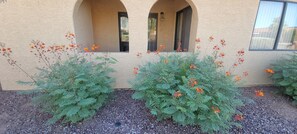 A building with a stucco exterior, two arched windows, and a gravel pathway.