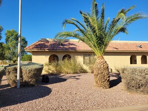 A building with a tiled roof, arched windows, and a palm tree in the foreground.