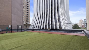 Campo esportivo