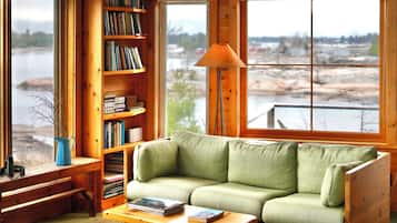 TV connectée, cheminée, lecteur de DVD, livres