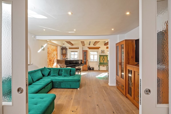 Smart TV, fireplace, video games, books