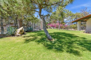 Garden - Agave House Pool and BBQ (Zapopan)