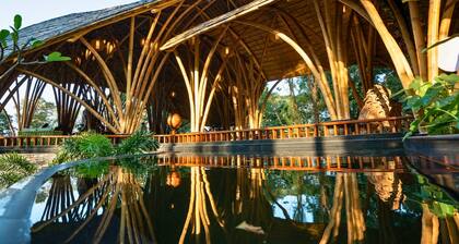 Timbertales Luxury Resort Coorg