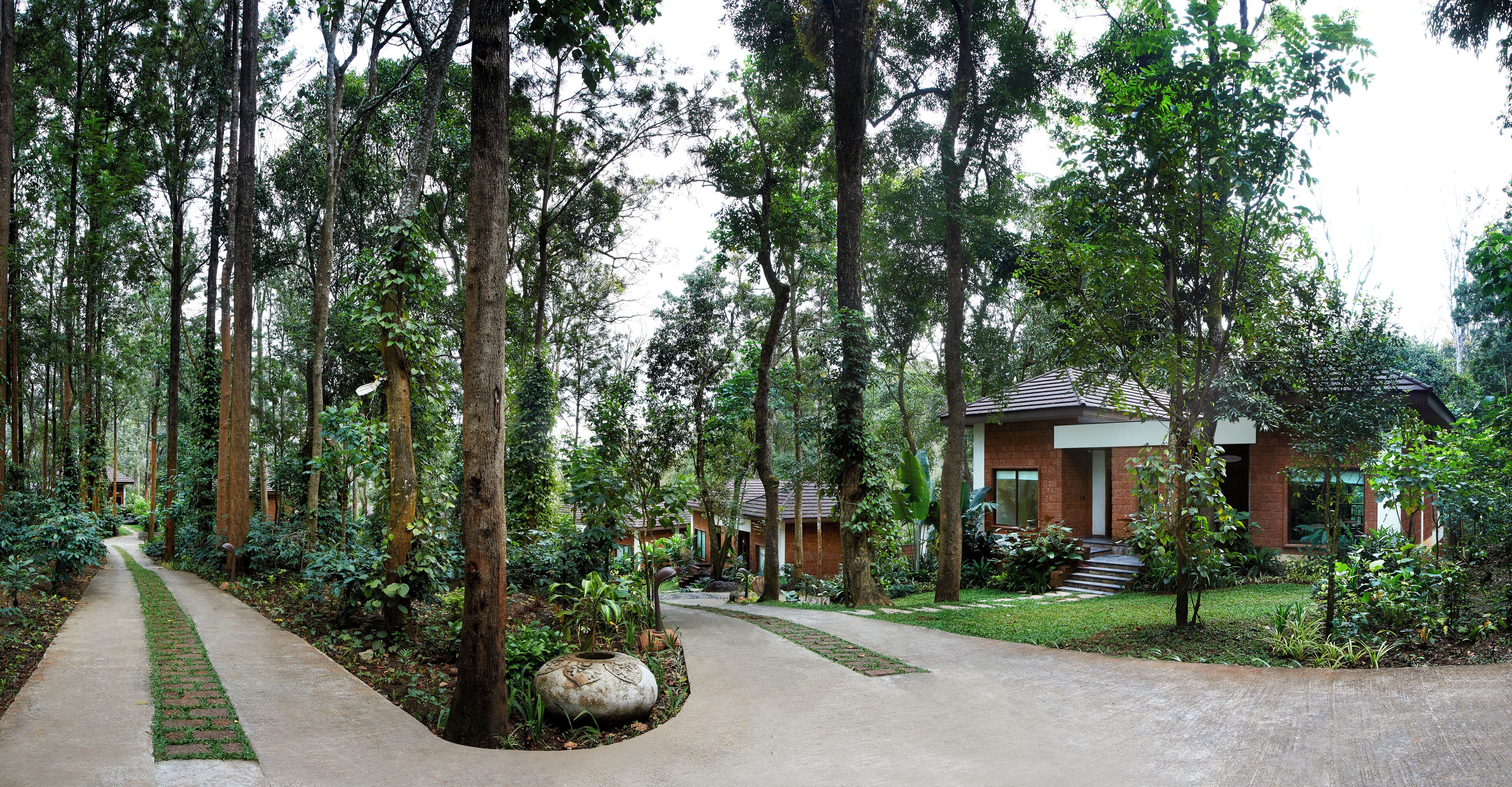 A pathway leading to a modern house surrounded by dense forest.