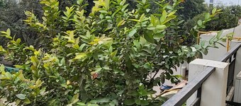 Spacious 4-bedroom bungalow in enjoyable Prayagraj with WiFi