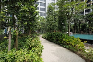 A pathway lined with lush greenery and a pool area with lounge chairs.