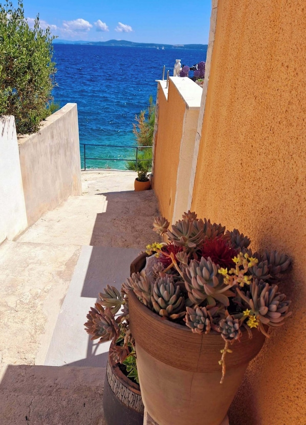 A balcony with a potted succulent plant, a clear view of the sea, and a white railing.