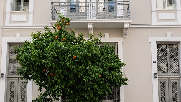 A building with a tree in front, a balcony with metal railings, and a door with a window. - Generation 6 (Athens)