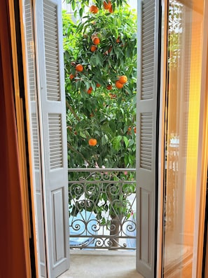 A view through an open door with a metal railing, leading to a balcony with a tree bearing fruit. - Generation 6 (Athens)