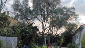 Un sendero de grava que conduce a una casa con un muro de piedra y un árbol en el centro.