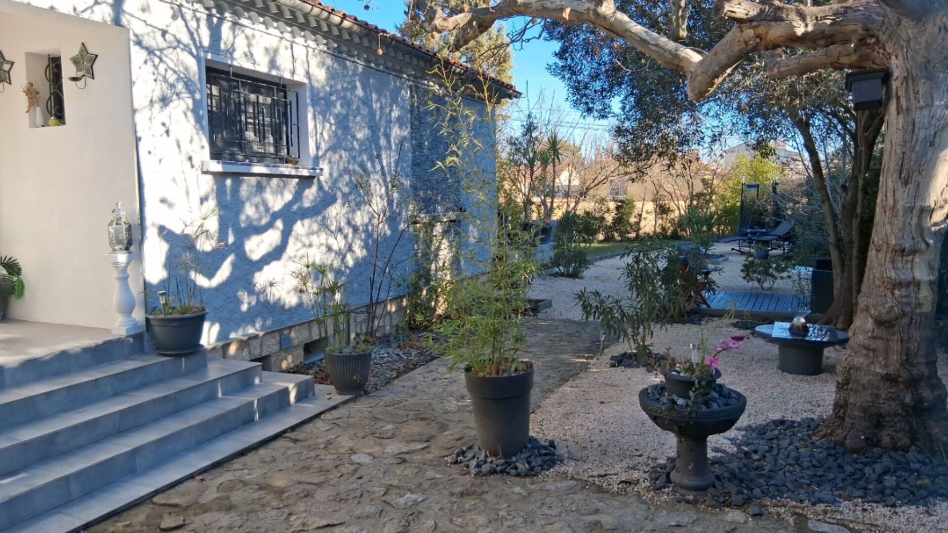 A courtyard with stone steps leading to a white building, surrounded by potted plants and a tree.