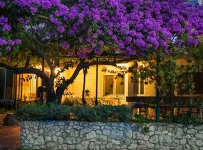 A building with a stone wall and a tree with purple flowers. - Apartments Galić (Ploce)