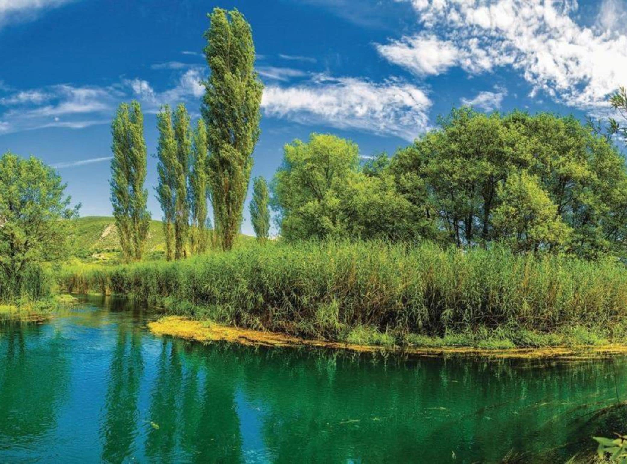 A serene riverside landscape with clear water, lush greenery, and tall trees.