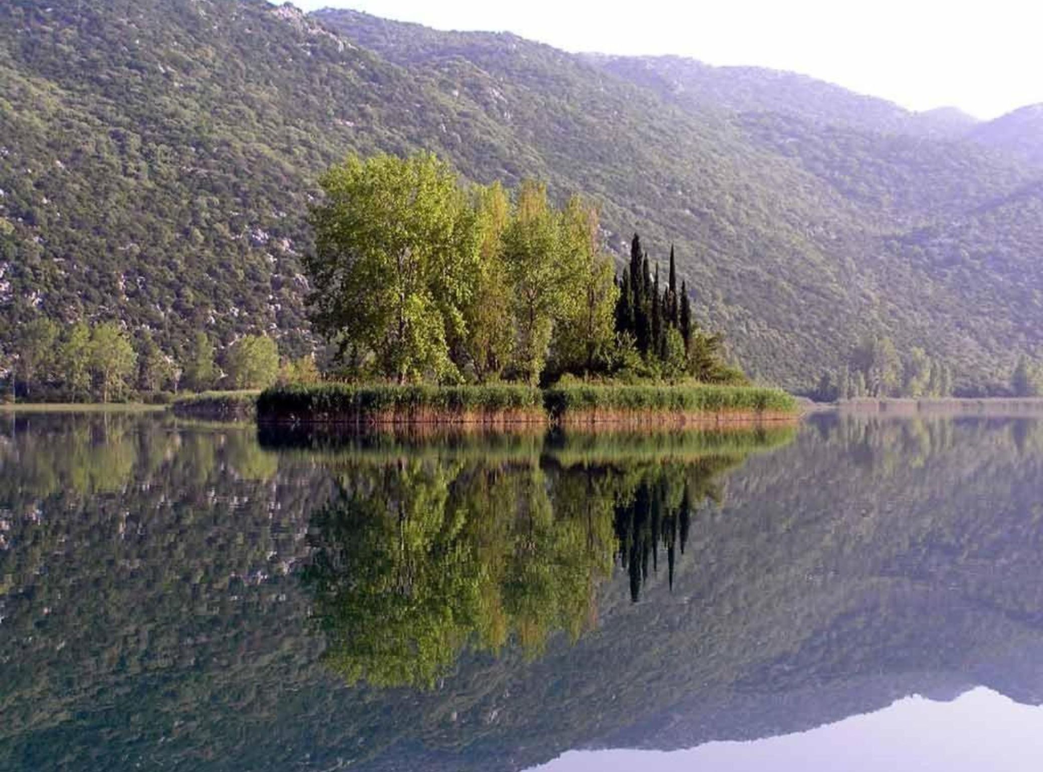 A calm lake with a small island featuring trees and a clear reflection.