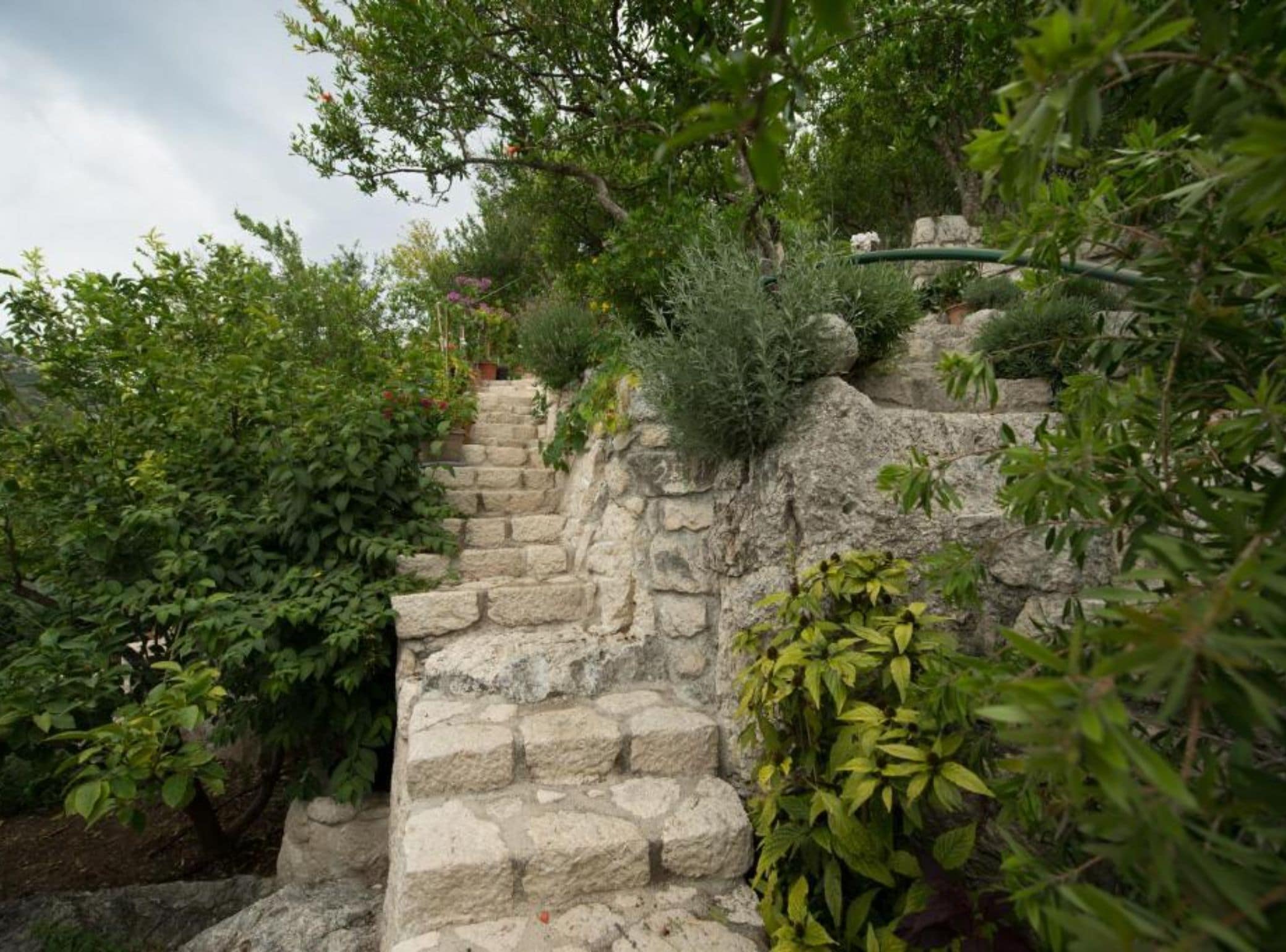 Eine steinerne Treppe, umgeben von üppigem Grün.