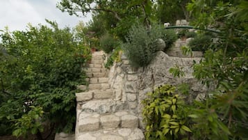 Eine steinerne Treppe, umgeben von üppigem Grün.