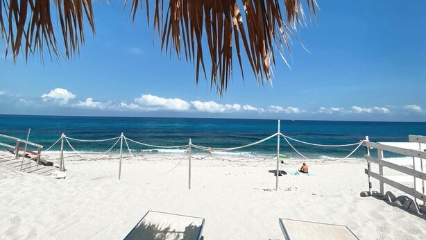 Ein Strand mit weißem Sand, klarem, blauem Wasser und einer Palme.