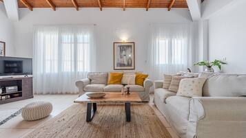 A spacious living room with a high wooden ceiling, two sofas with cushions, a coffee table, a television, and a plant.