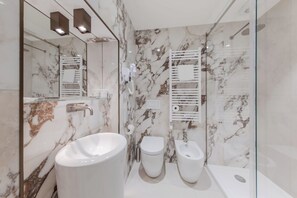Shower, hair dryer, bidet, towels - Superior Room (Venezia)