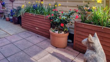 Apartment | Property grounds