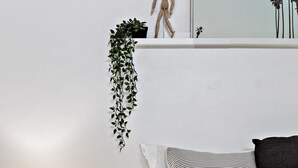 Et pænt møbleret soveværelse med en seng, et natbord med en lampe, en hængende plante og en trædukke.