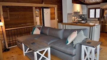 TV connectée, cheminée